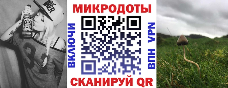 сколько стоит  Магас  Псилоцибиновые грибы мухоморы 